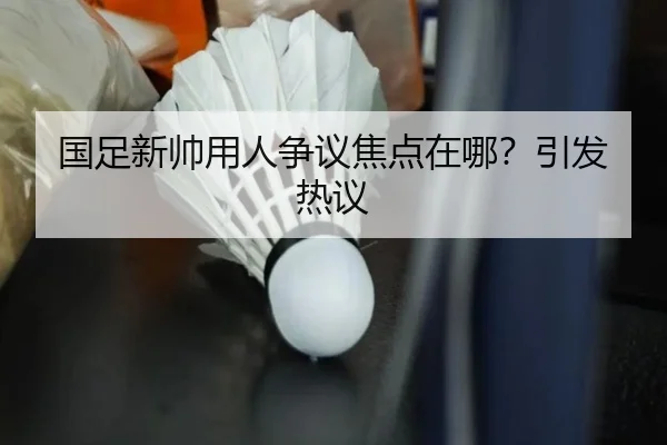 国足新帅用人争议焦点在哪？引发热议 | xingkong.com